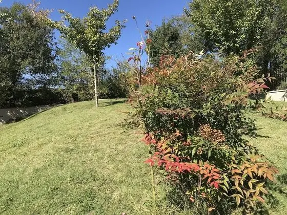 Business Büyük Yataklı Tek Kişilik Oda