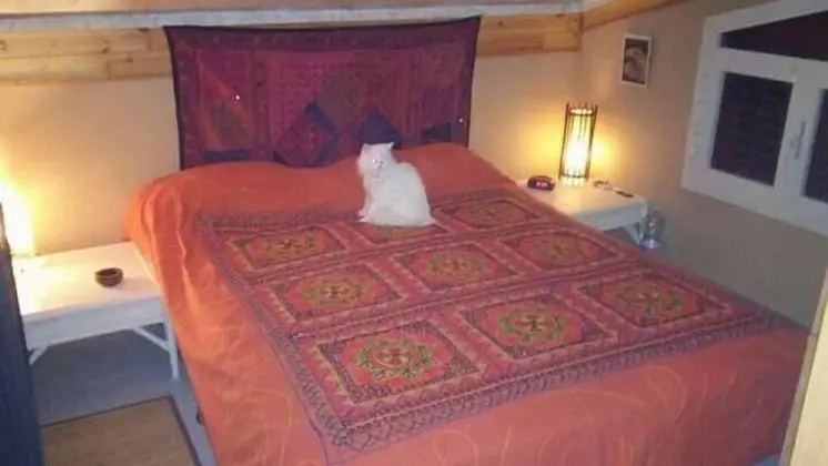 Tek Büyük veya İki Ayrı Yataklı Oda, Ortak Banyo (n° 1)