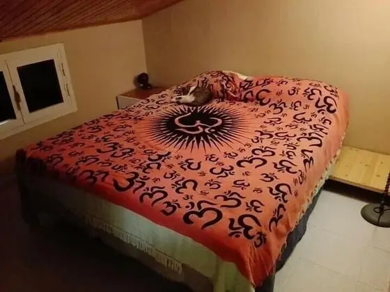 Tek Büyük Yataklı Oda, Ortak Banyo (n° 2)