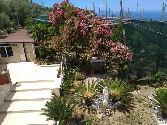 Family Oda, Avlu Manzaralı
