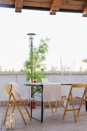 Comfort Apart Daire, 1 Yatak Odası