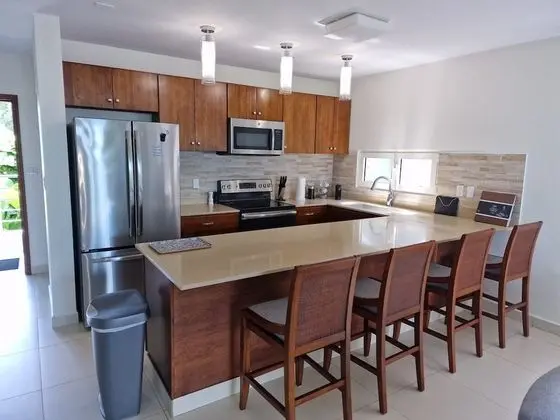 Premium Çatı Katı Süiti (Penthouse)