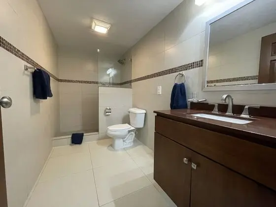 Premium Çatı Katı Süiti (Penthouse)