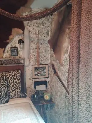 Tek Büyük Yataklı Oda, Özel Banyo (Africa)