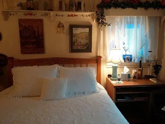 Tek Büyük Yataklı Oda, Özel Banyo (Germany)