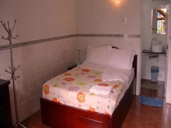 Basic Tek Büyük Yataklı Oda, 1 Çift Kişilik Yatak, Havuz Manzaralı