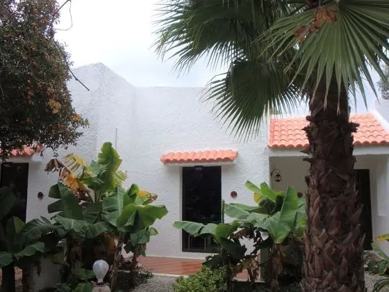 Tek Büyük Yataklı Oda, Balkon, Bahçe Manzaralı