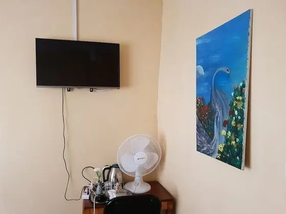 Tek Büyük Yataklı Oda, 1 Çift Kişilik Yatak, Engellilere Uygun, Sigara İçilmez