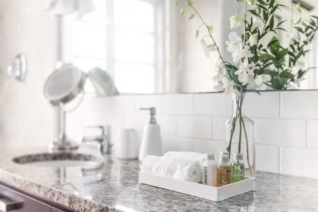 Luxury Süit, 1 Yatak Odası