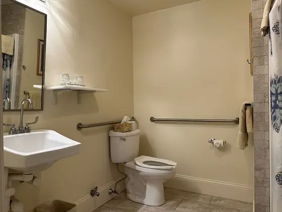 Standard Tek Büyük Yataklı Oda, Engellilere Uygun, Banyolu/Duşlu (ADA Compatible Queen Room)