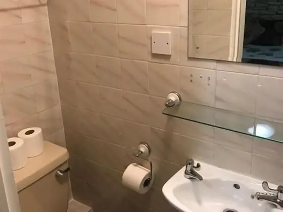 Standard Tek Büyük veya İki Ayrı Yataklı Oda, Banyolu/Duşlu