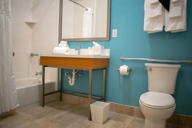 Deluxe Oda, 1 En Büyük (King) Boy Yatak, Veranda, Plaj Manzaralı (Deluxe King with Patio, Shower)