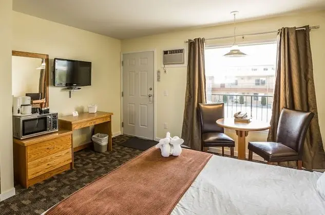 Deluxe Oda, 2 Çift Kişilik Yatak (Not Pet Friendly)