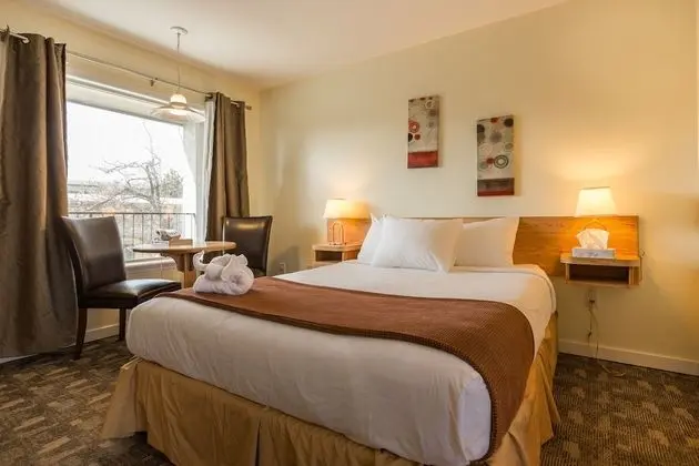 Deluxe Oda, 2 Çift Kişilik Yatak (Not Pet Friendly)