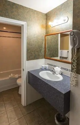 Deluxe Oda, 2 Çift Kişilik Yatak (Not Pet Friendly)