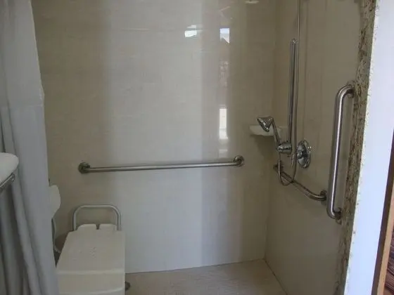 One Queen Bed, Accessible, Non-Smoking (Roll-In Shower)