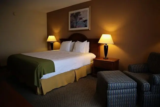 1 King Bed, Nonsmoking, Upgrade