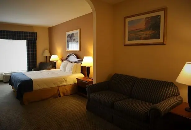 1 King Bed, Nonsmoking, Upgrade with sofabed