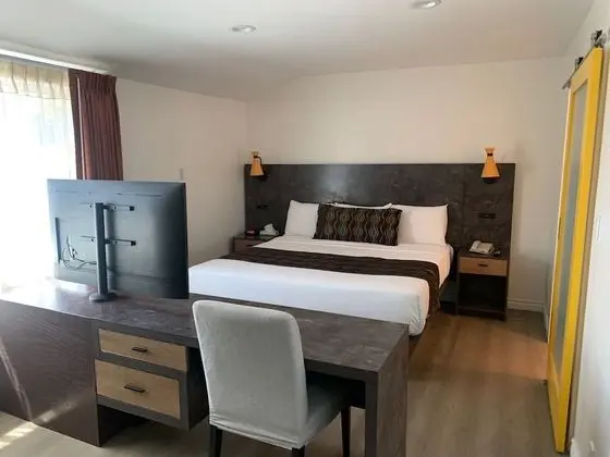 Deluxe Stüdyo Süit, 1 Yatak Odası