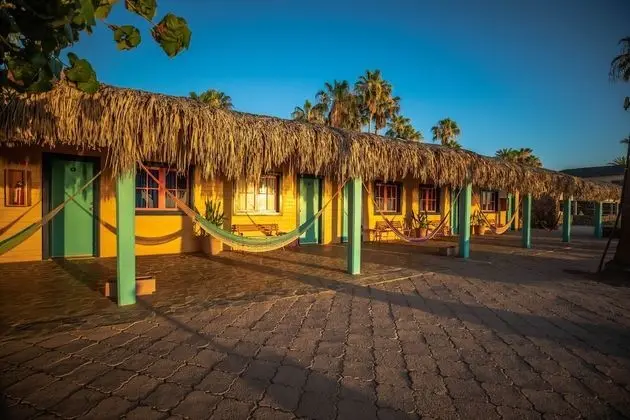 Standard Tek Büyük Yataklı Oda, Okyanus Manzaralı