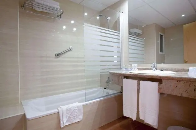 Tek Büyük Yataklı Oda (2 Adults)