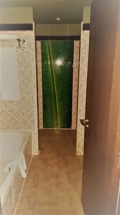 Süit
