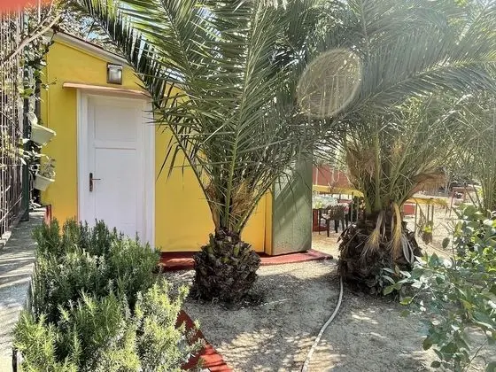 Apart Daire, 1 Yatak Odası, Buzdolabı