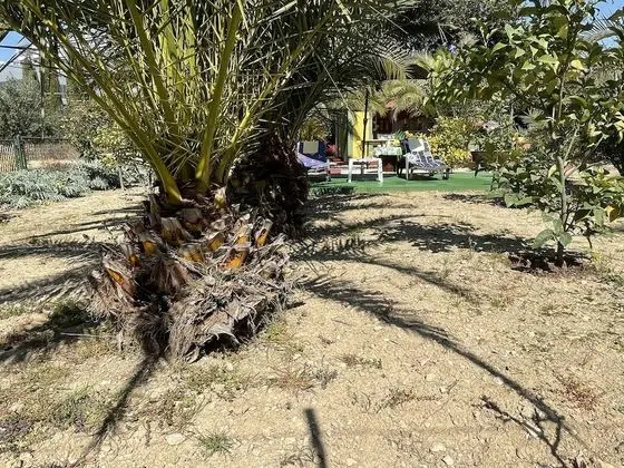 Apart Daire, 1 Yatak Odası, Buzdolabı