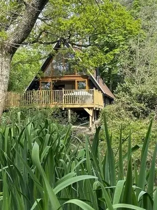 Luxury Kulübe, Engellilere Uygun, Banyolu/Duşlu (Avalon Waterside Lodge)