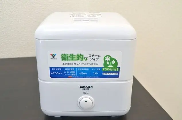 Oda, Ortak Banyo (Western Room - Single)