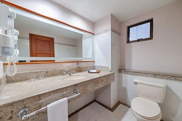 Superior Tek Büyük Yataklı Oda, Şehir Manzaralı