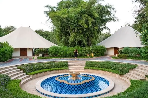 Luxury Çadır, 1 En Büyük (King) Boy Yatak