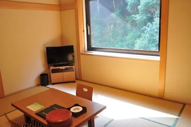 Traditional İki Ayrı Yataklı Oda, Sigara İçilmez