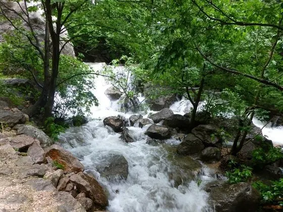 Apart Daire, 1 En Büyük (King) Boy Yatak ve Çekyat