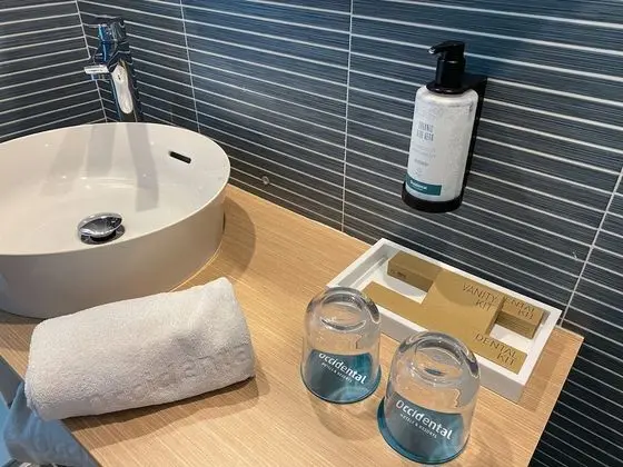 Tek Büyük Yataklı Oda (2 Adults +1 Child)