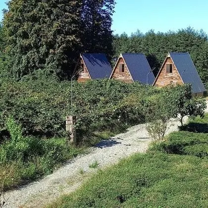 Balayı Suit Bungalov