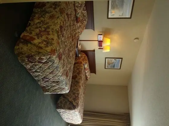 Queen Room, 2 Queen Bed, Side View