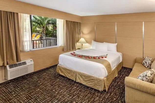 Stüdyo, 1 En Büyük (King) Boy Yatak, Sıcak Su Küveti (Honeymoon Suite)
