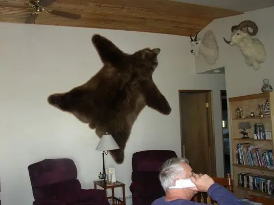 Bear Room (Shared Bathroom)