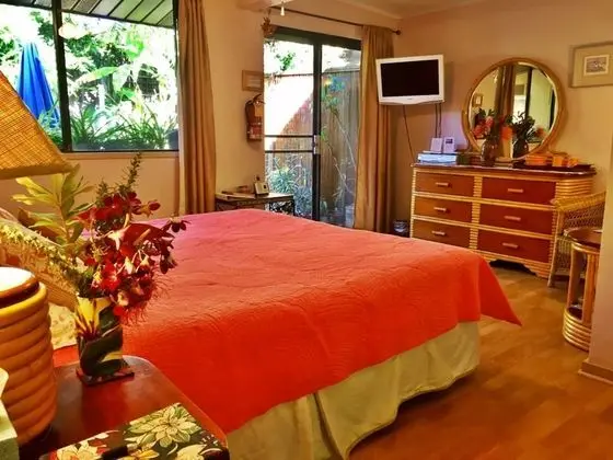 Tek Büyük Yataklı Oda, 1 En Büyük (King) Boy Yatak, Özel Banyo, Bahçe Manzaralı