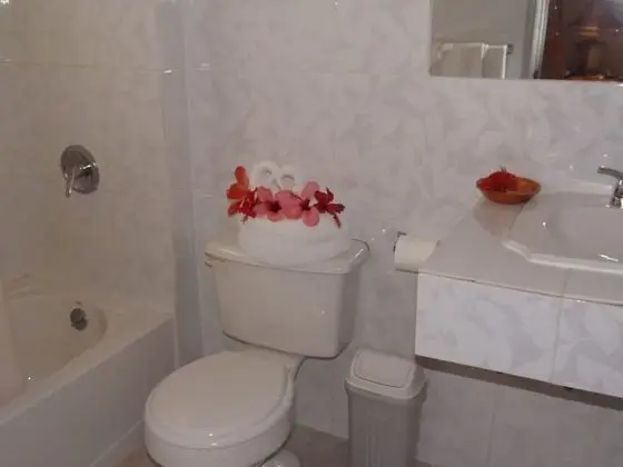 Standard Oda, Bahçe Manzaralı