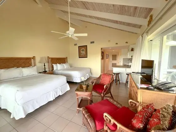 Deluxe Stüdyo, 2 Çift Kişilik Yatak