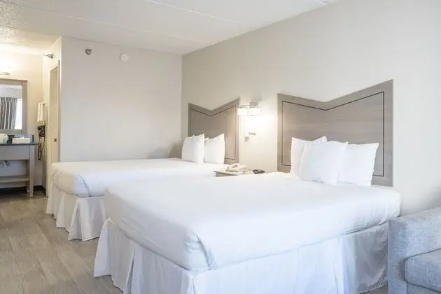 Premium Oda, 2 Çift Kişilik Yatak, Havuz Manzaralı