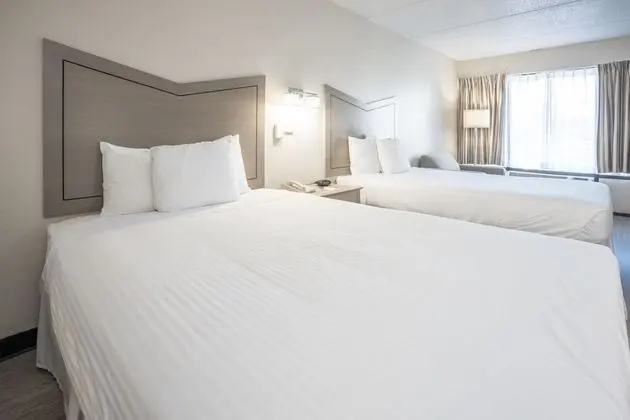 Premium Oda, 2 Çift Kişilik Yatak, Havuz Manzaralı