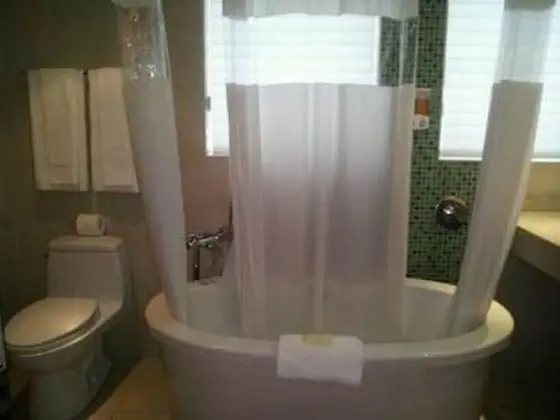 Deluxe Stüdyo