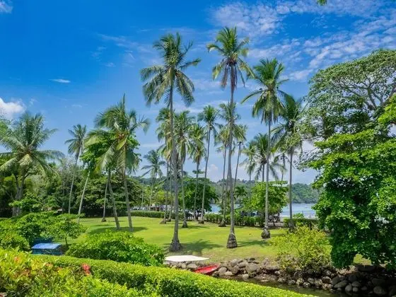 Apart Daire, 3 Yatak Odası, Engellilere Uygun, Teras