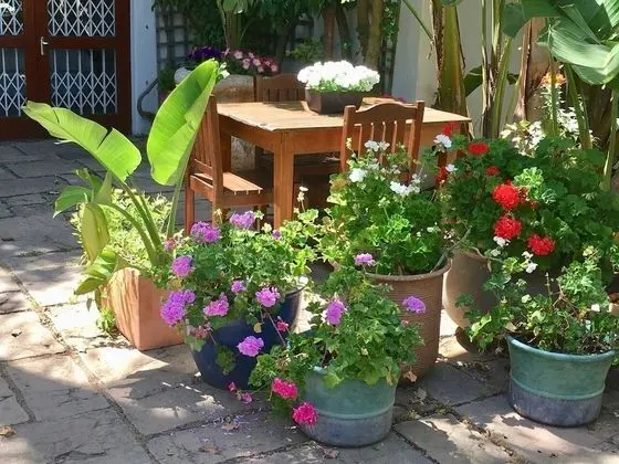 Comfort Tek Büyük Yataklı Oda, 1 Büyük (Queen) Boy Yatak, Banyolu/Duşlu, Avlu Manzaralı