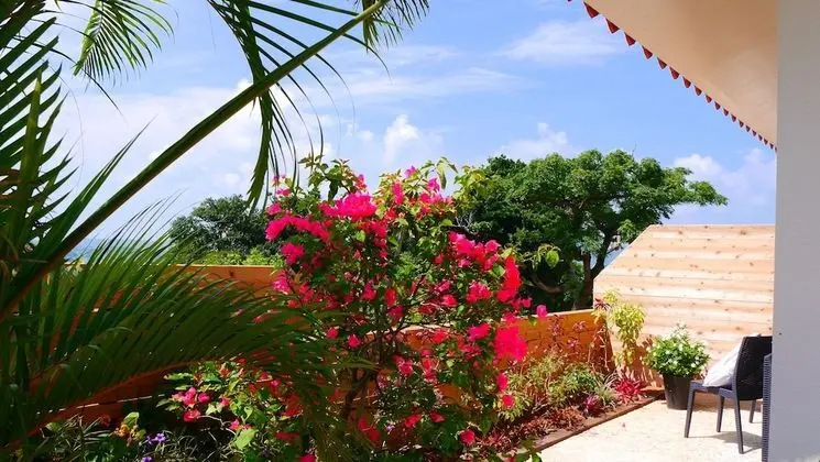 Standard İki Ayrı Yataklı Oda (Bougainvillea)
