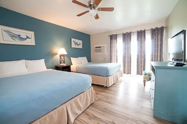 Park Side 2 Queens - Pet Friendly
