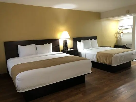 Comfort Room 1 King & 1 Queen Bed, Non Smoking